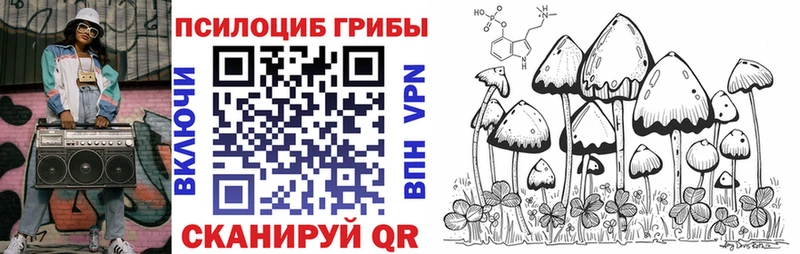 Псилоцибиновые грибы мухоморы  закладка  Ейск 